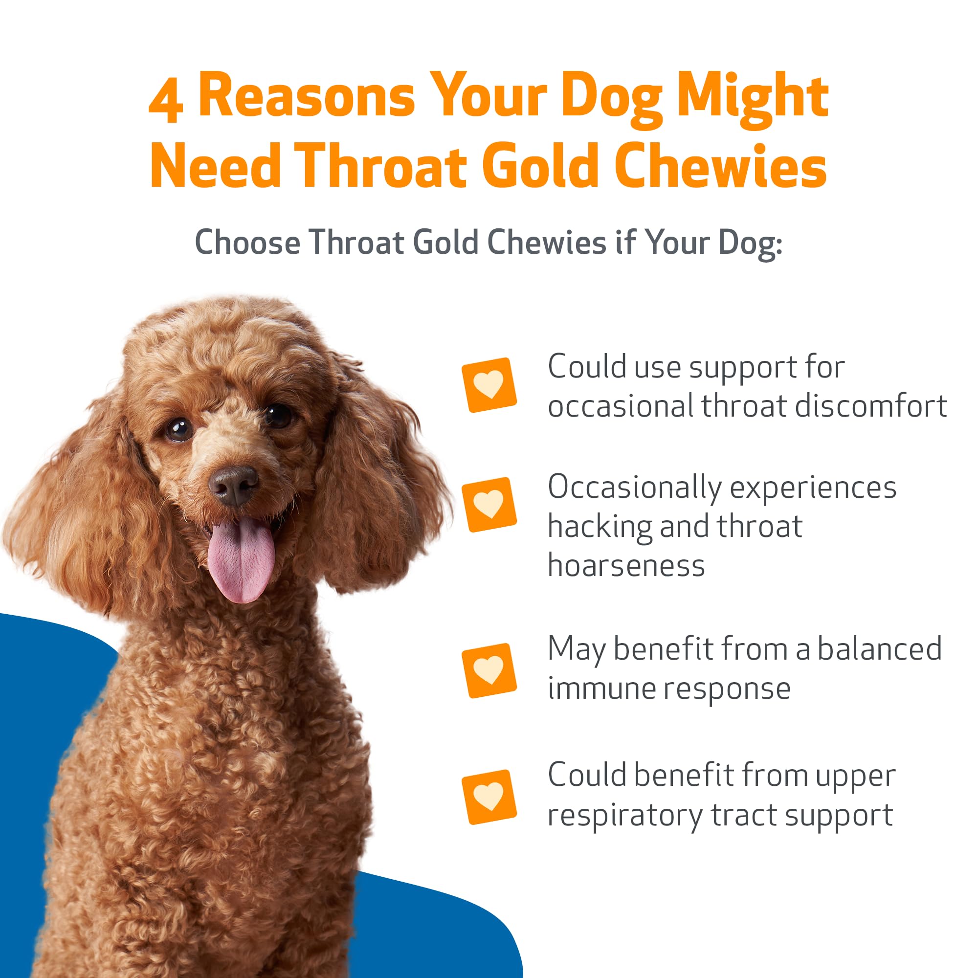 Pet Wellbeing Throat Gold Chewies dog eating scene highlighting tasty chew.