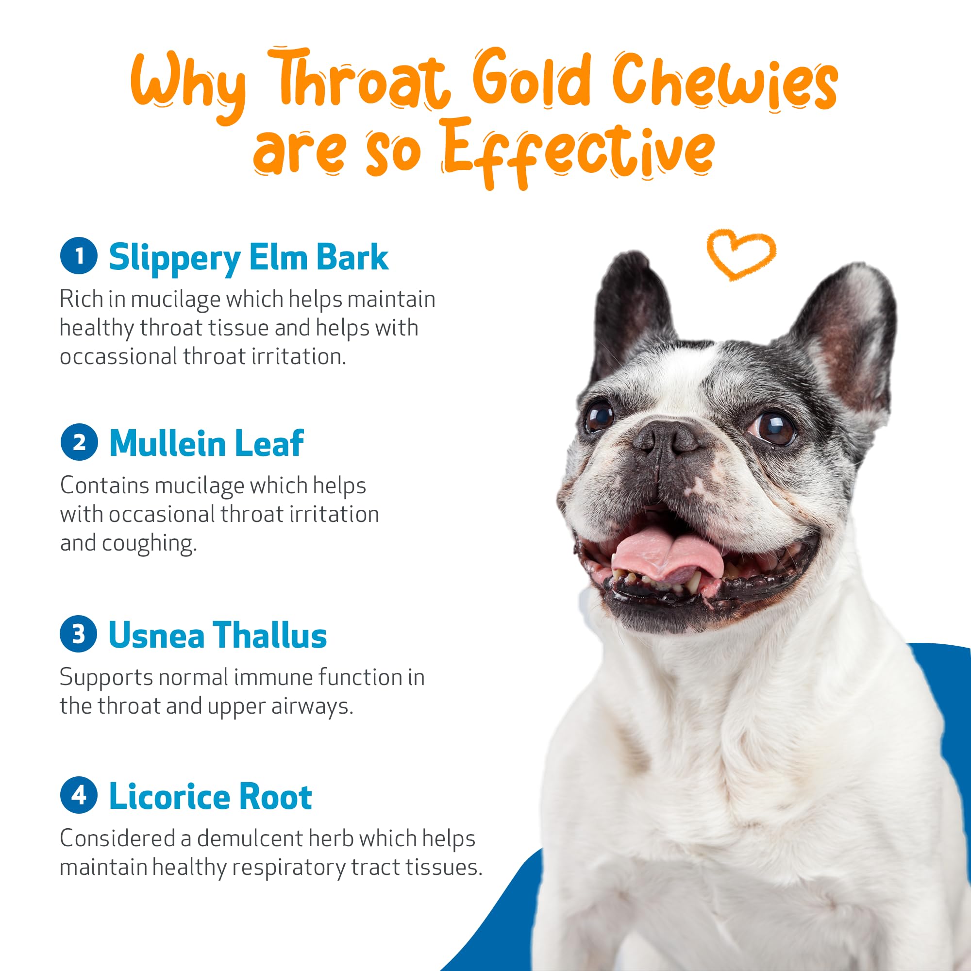 Pet Wellbeing Throat Gold Chewies vet formulated seal and quality assurance.