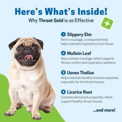 Pet Wellbeing Throat Gold daily-use administration scene