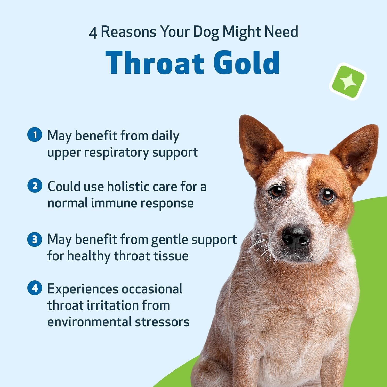 Pet Wellbeing Throat Gold dropper enables easy, precise dosing for dogs
