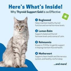 Pet Wellbeing Thyroid Support Gold packaging closeup shows NASC-certified quality.