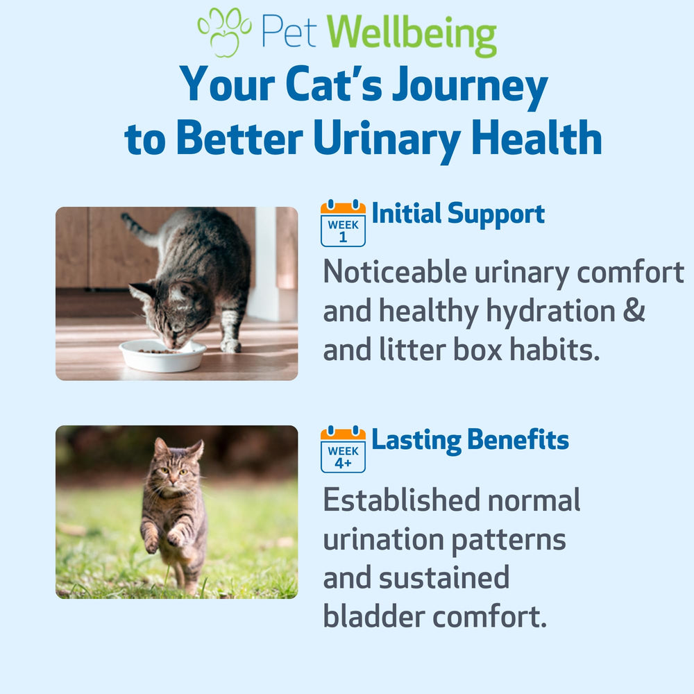 Pet Wellbeing Urinary Gold herbs on display illustrating natural feline urinary maintenance.