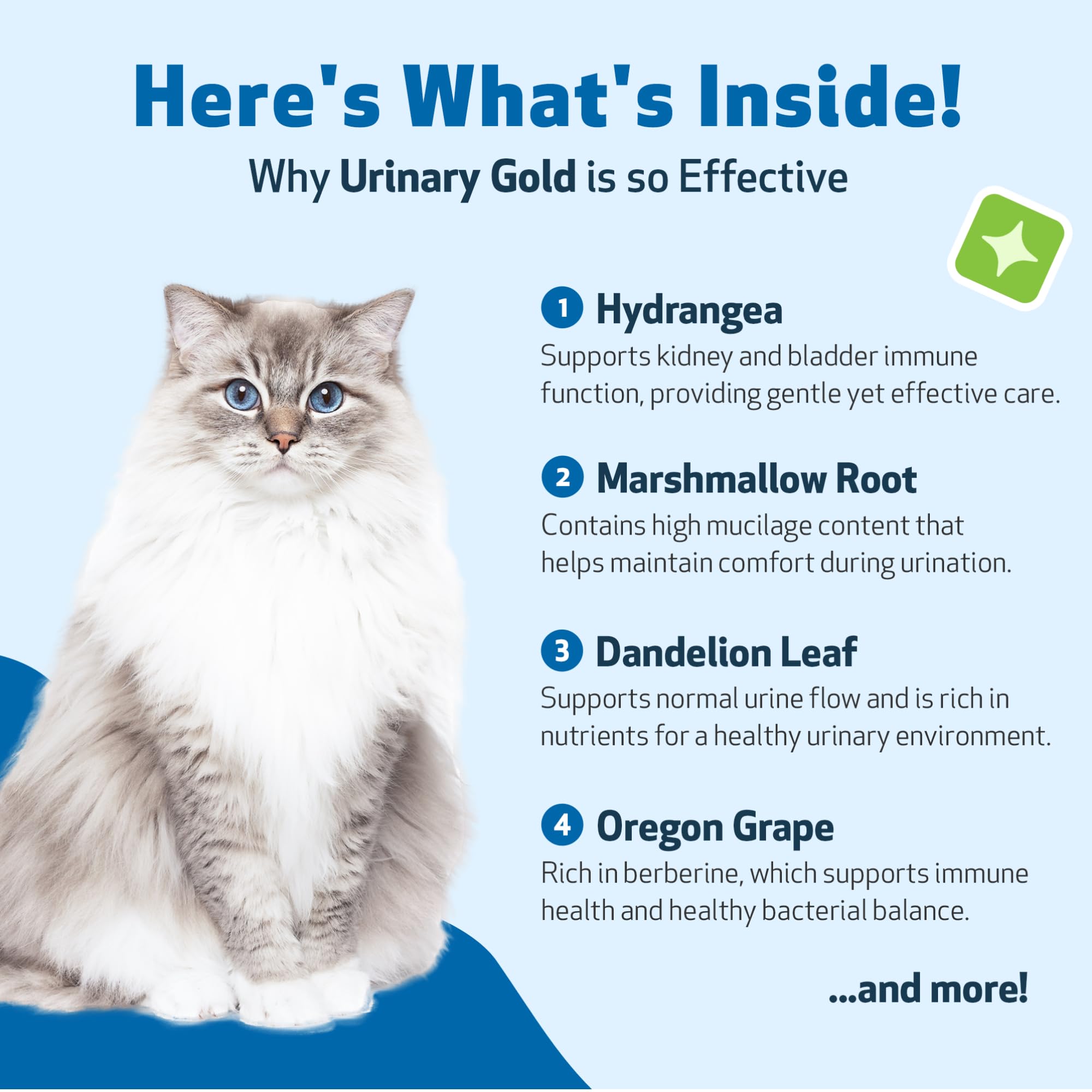 Pet Wellbeing Urinary Gold liquid dropper showing gentle dosing for cats.