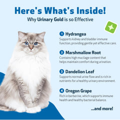 Pet Wellbeing Urinary Gold liquid dropper showing gentle dosing for cats.