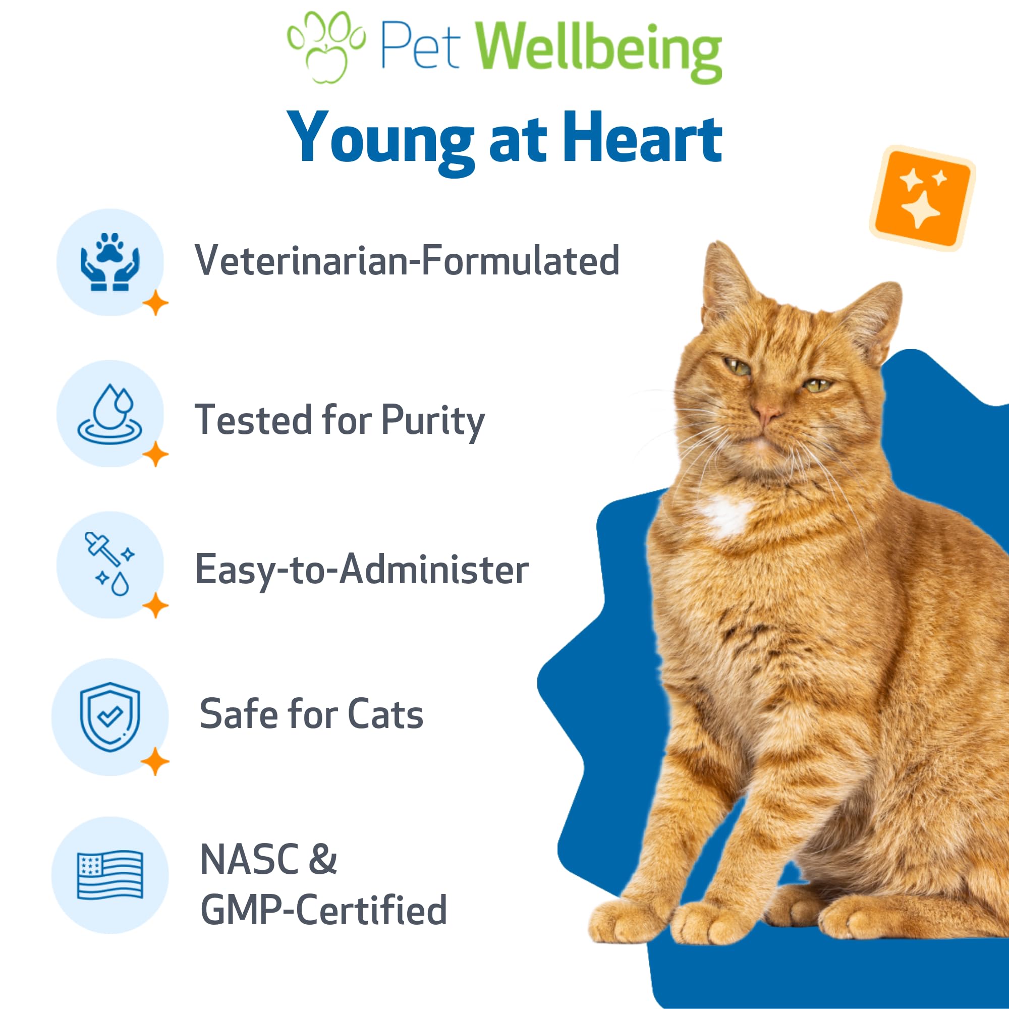 Pet Wellbeing Young at Heart administering formula into cat food during a meal.
