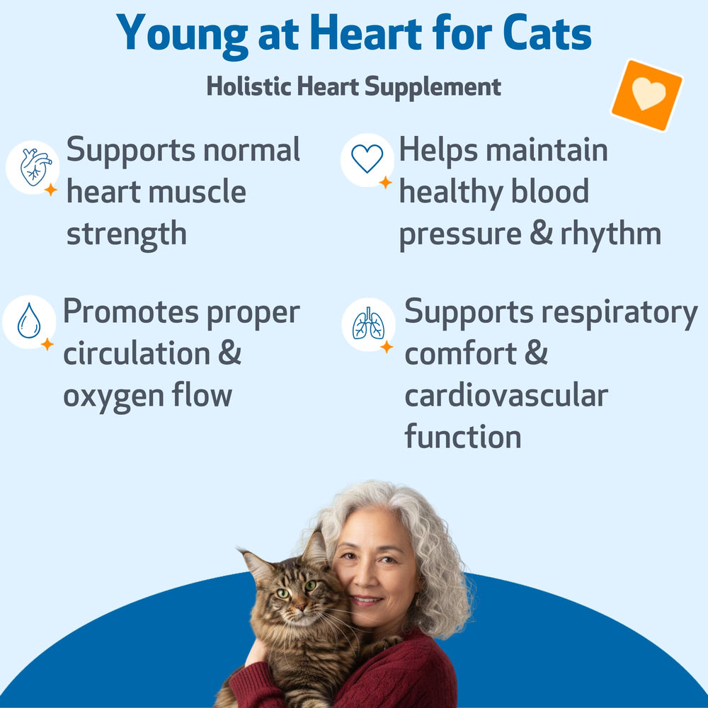 Pet Wellbeing Young at Heart cat dropper with label for easy dosing.