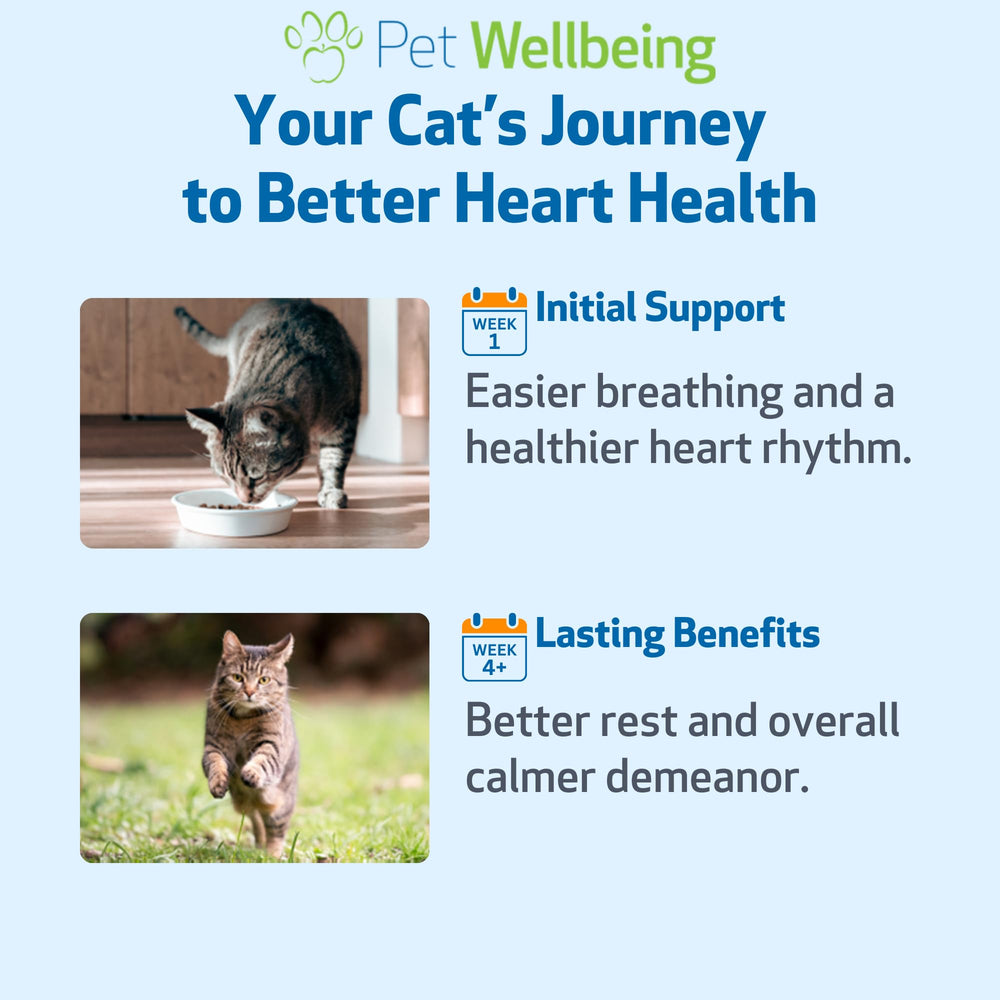Pet Wellbeing Young at Heart hawthorn-motherwort blend visual supporting heart health.