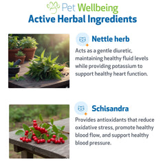 Pet Wellbeing Young at Heart NASC-certified vet-formulated label on bottle.