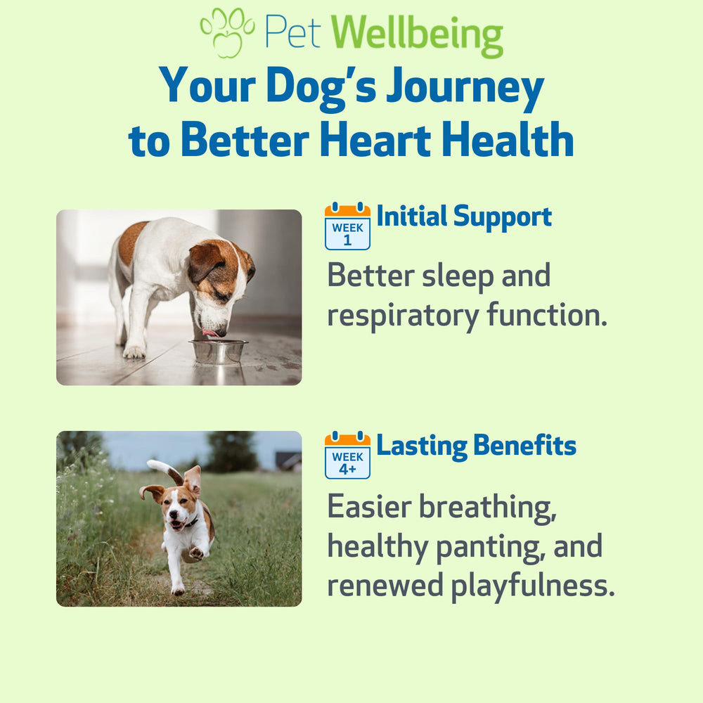 Pet Wellbeing Young at Heart liquid formula; ready to mix with meals.