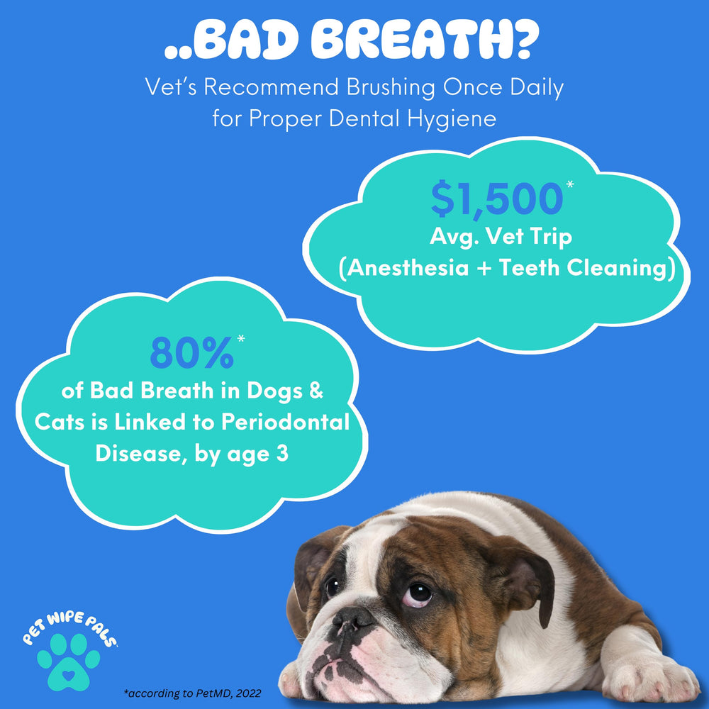 Pet Wipe Pals made in California emphasizes quality and care.