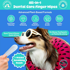Pet Wipe Pals pineapple complex enzymatic cleaning highlights deep whitening.
