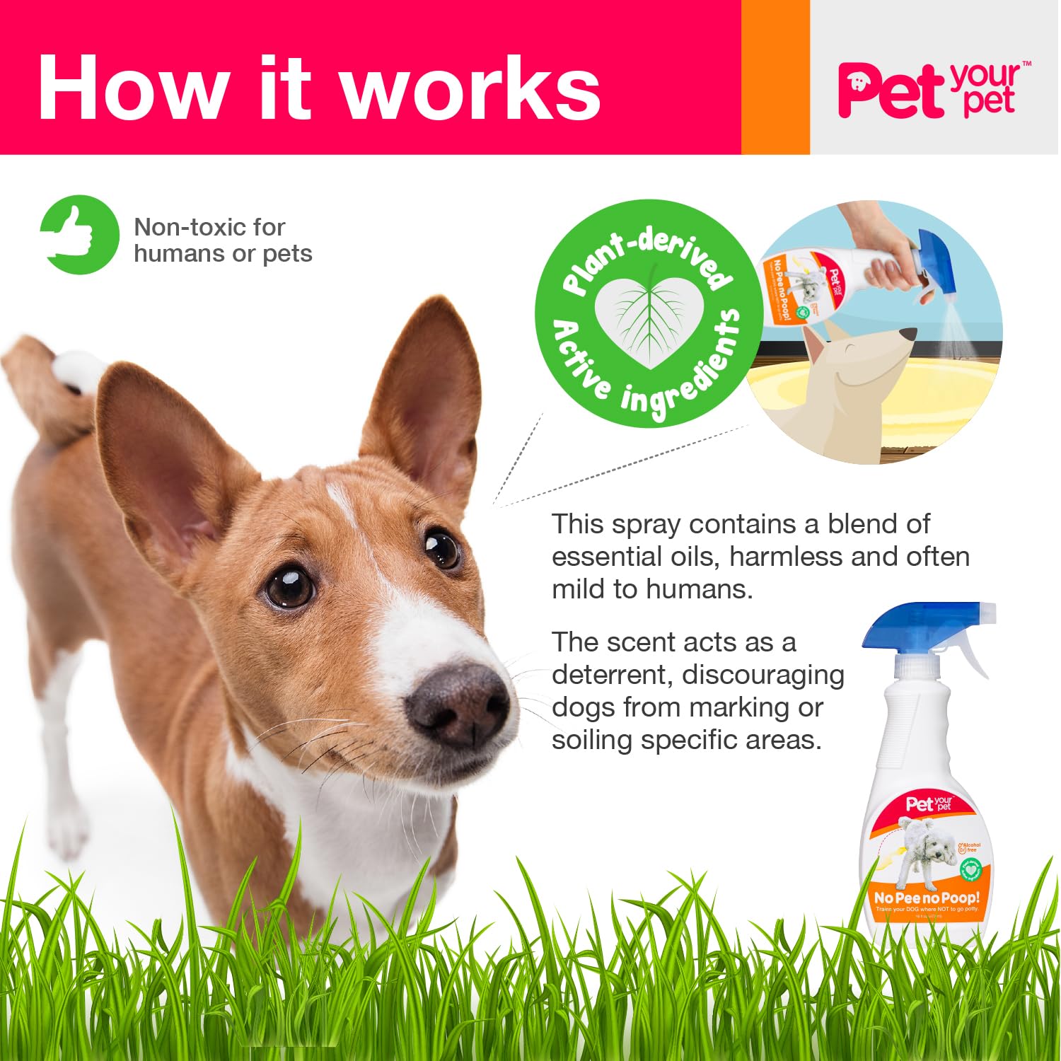 PET YOUR PET aromatic essential oils cue dogs toward appropriate spots