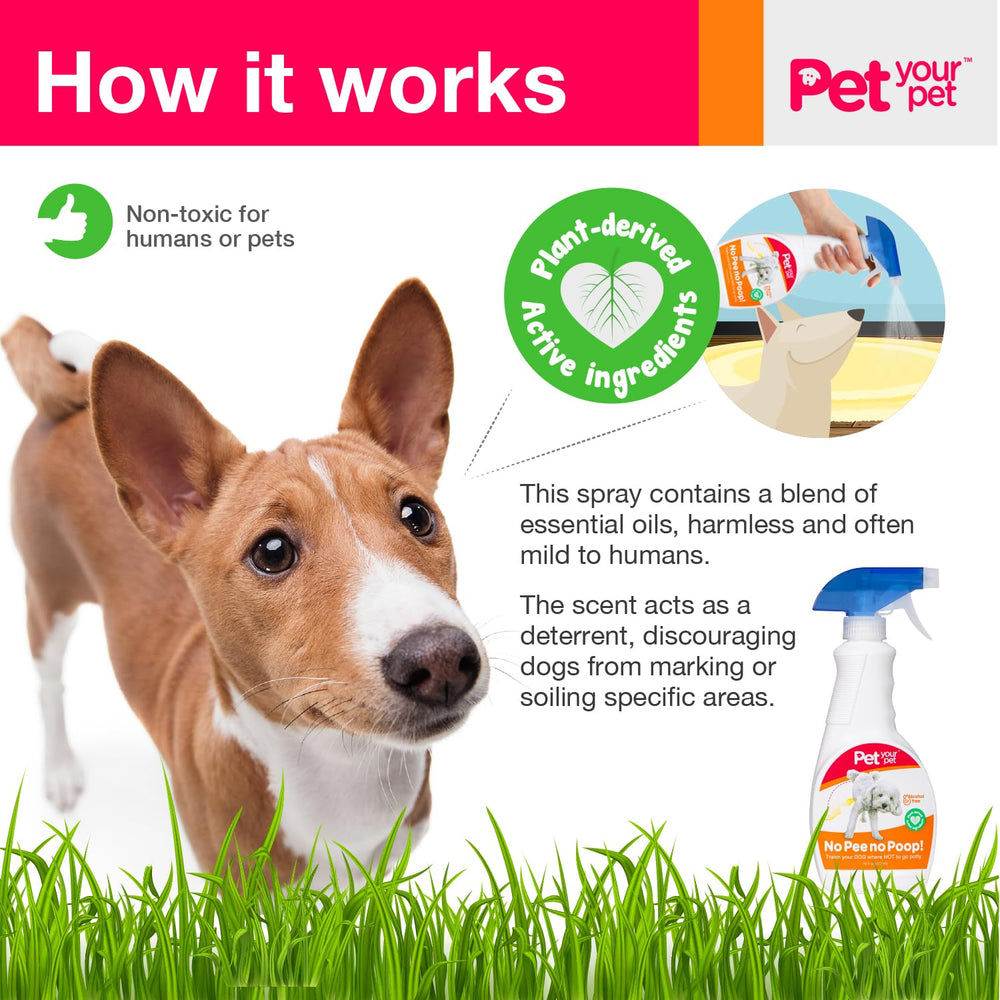 PET YOUR PET aromatic essential oils cue dogs toward appropriate spots