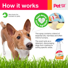 PET YOUR PET aromatic essential oils cue dogs toward appropriate spots