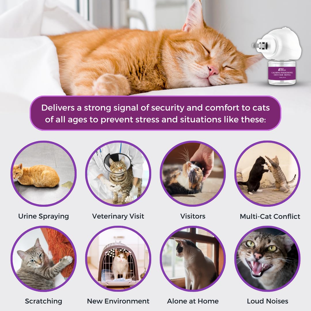 Pet Zephyr cat refill four-month supply image underscores long-lasting rotation.