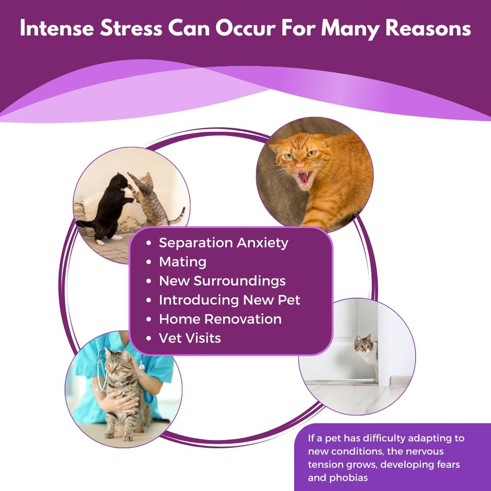 Pet Zephyr cat refill natural ingredients stresses safe, non-drug calming for cats.