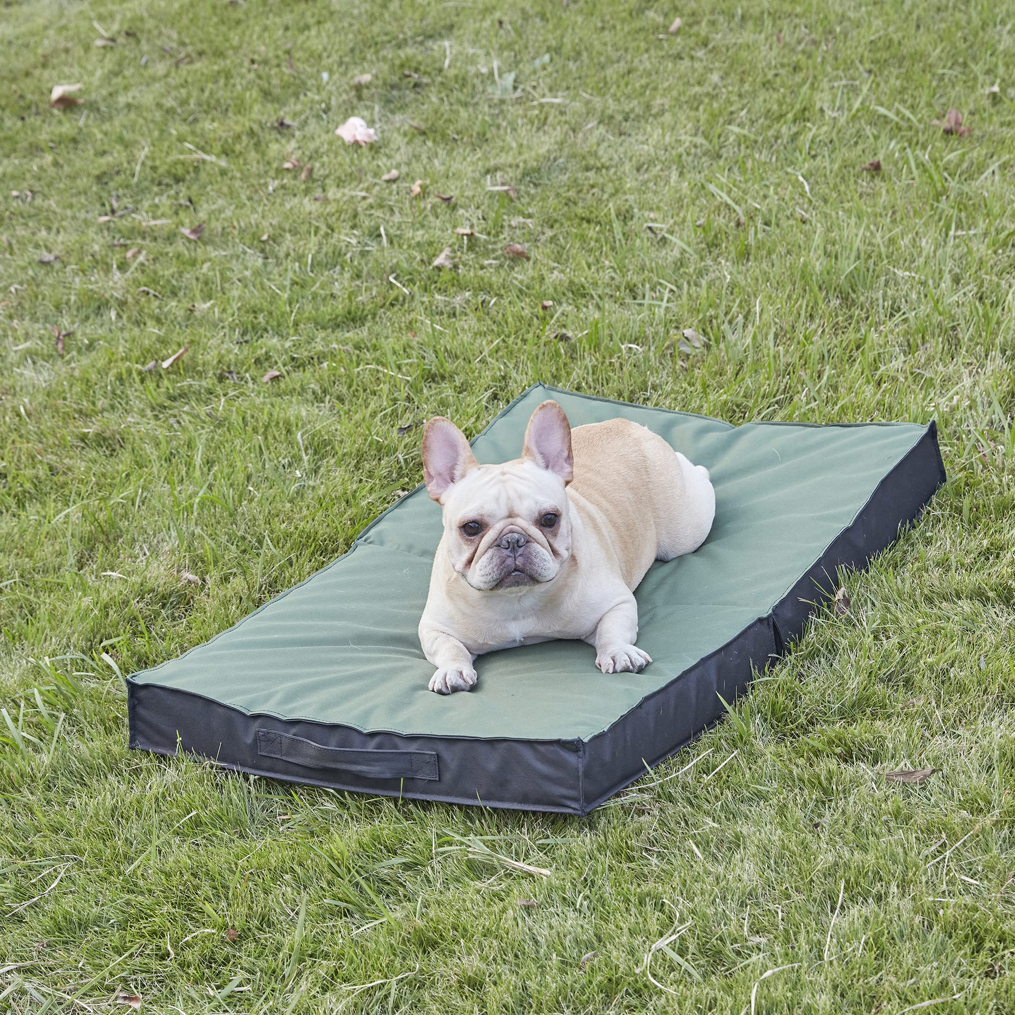 PETABBY outdoor bed showcased for all-terrain use