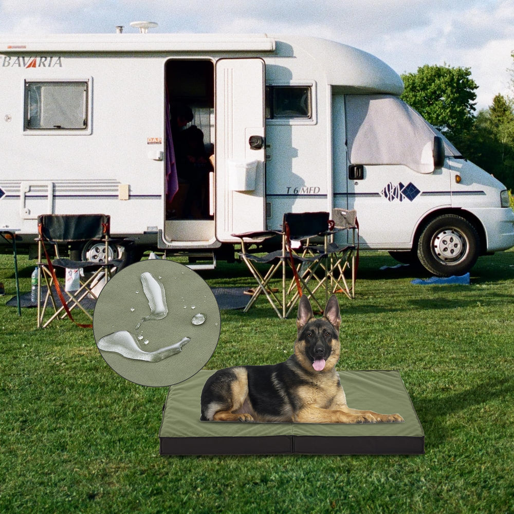 PETABBY bed folds flat for crate, carrier, or travel