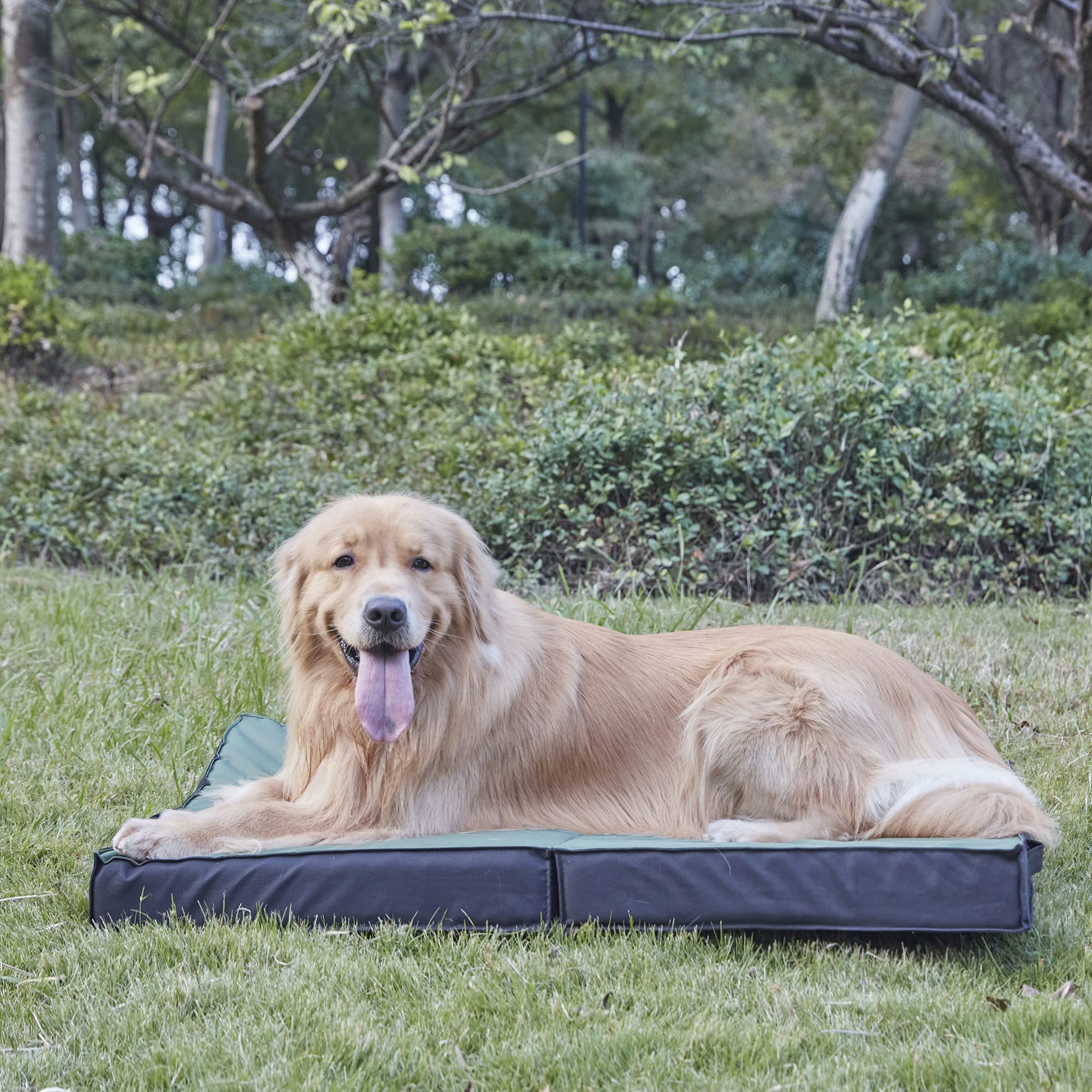 PETABBY outdoor dog bed versatile for indoor and outdoor lounging