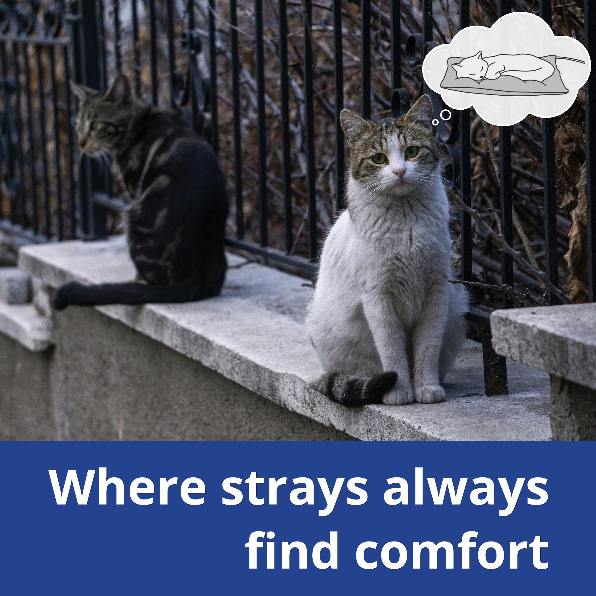 Petace outdoor heated cat bed base-durability emphasizing abrasion-resistant, water-resistant bottom