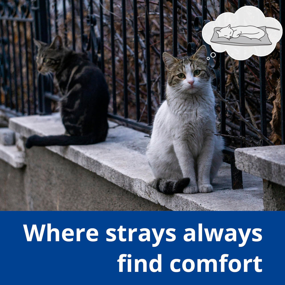 Petace outdoor heated cat bed base-durability emphasizing abrasion-resistant, water-resistant bottom