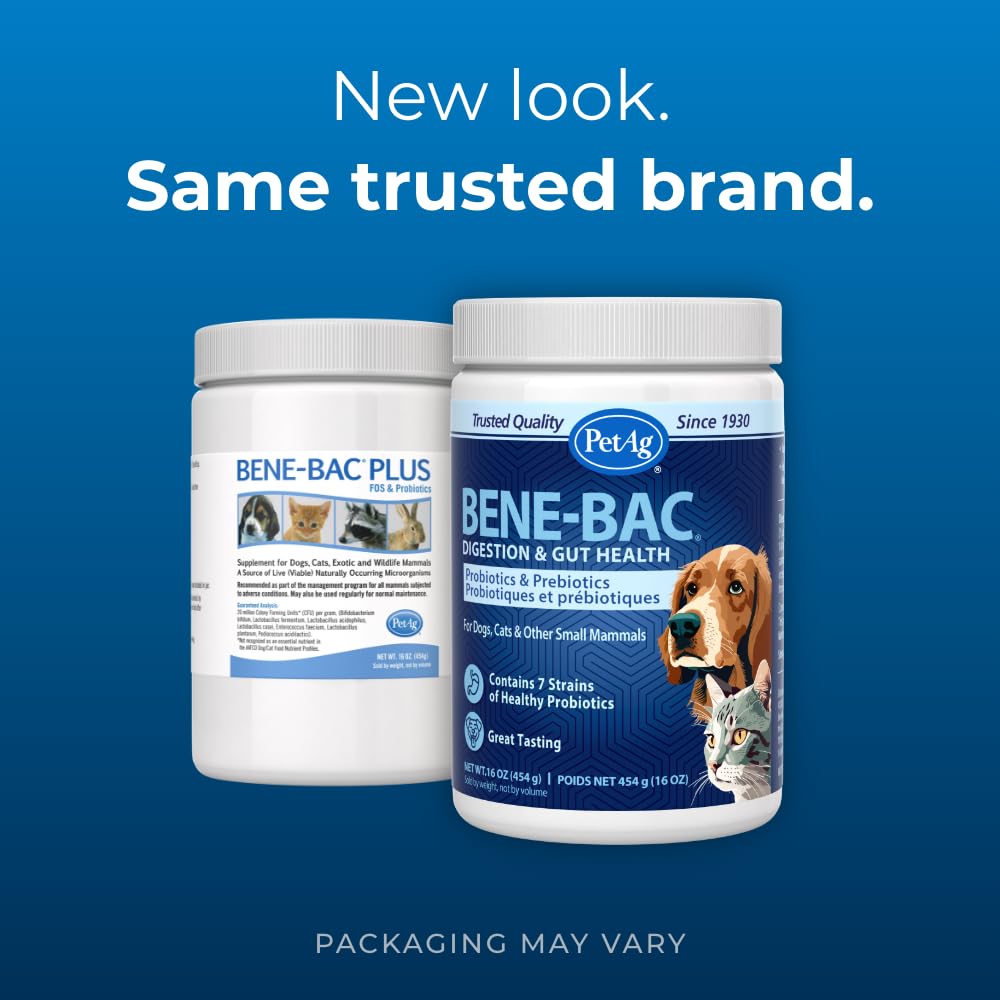 PetAg Bene-Bac bottle application for dogs and cats during post-surgery recovery.