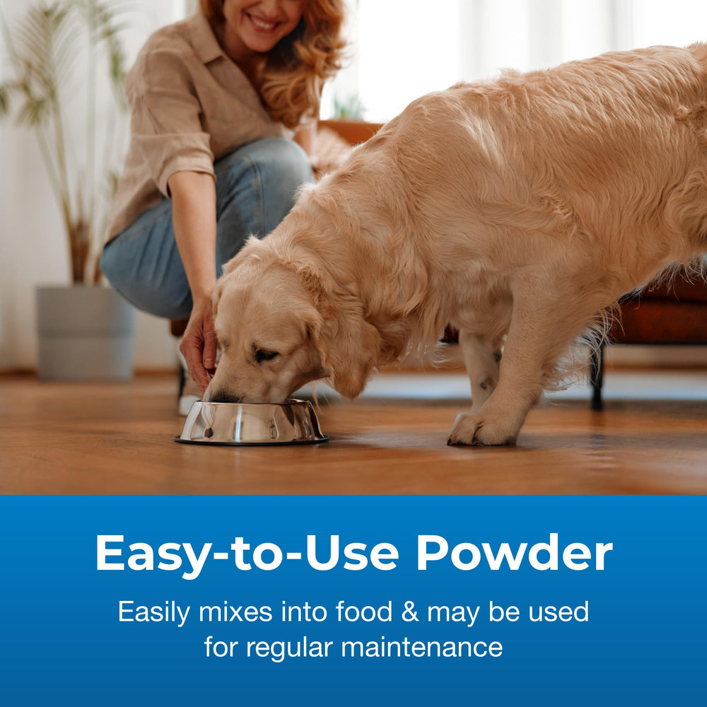 Bene-Bac Plus used with cats to support meal-time balance.
