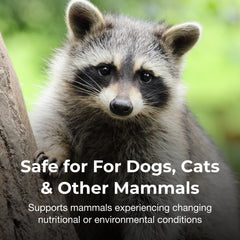 Bene-Bac Plus used with dogs to support digestive balance.