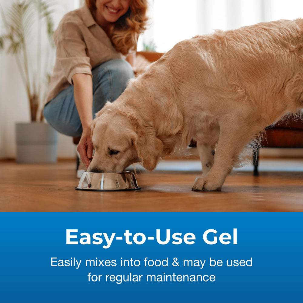 Dogs and cats benefiting from Bene-Bac Plus gel during adverse conditions.