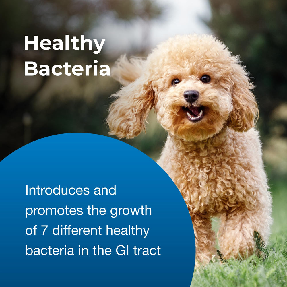 FOS and probiotics in Bene-Bac Plus support gut balance and digestion.