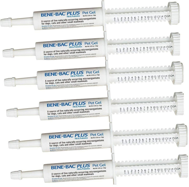 PetAg Bene-Bac Plus Gel 6-pack front view with dial-a-dose for convenient probiotic delivery.