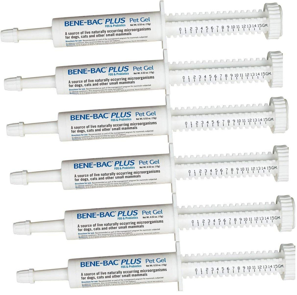 PetAg Bene-Bac Plus Gel 6-pack front view with dial-a-dose for convenient probiotic delivery.