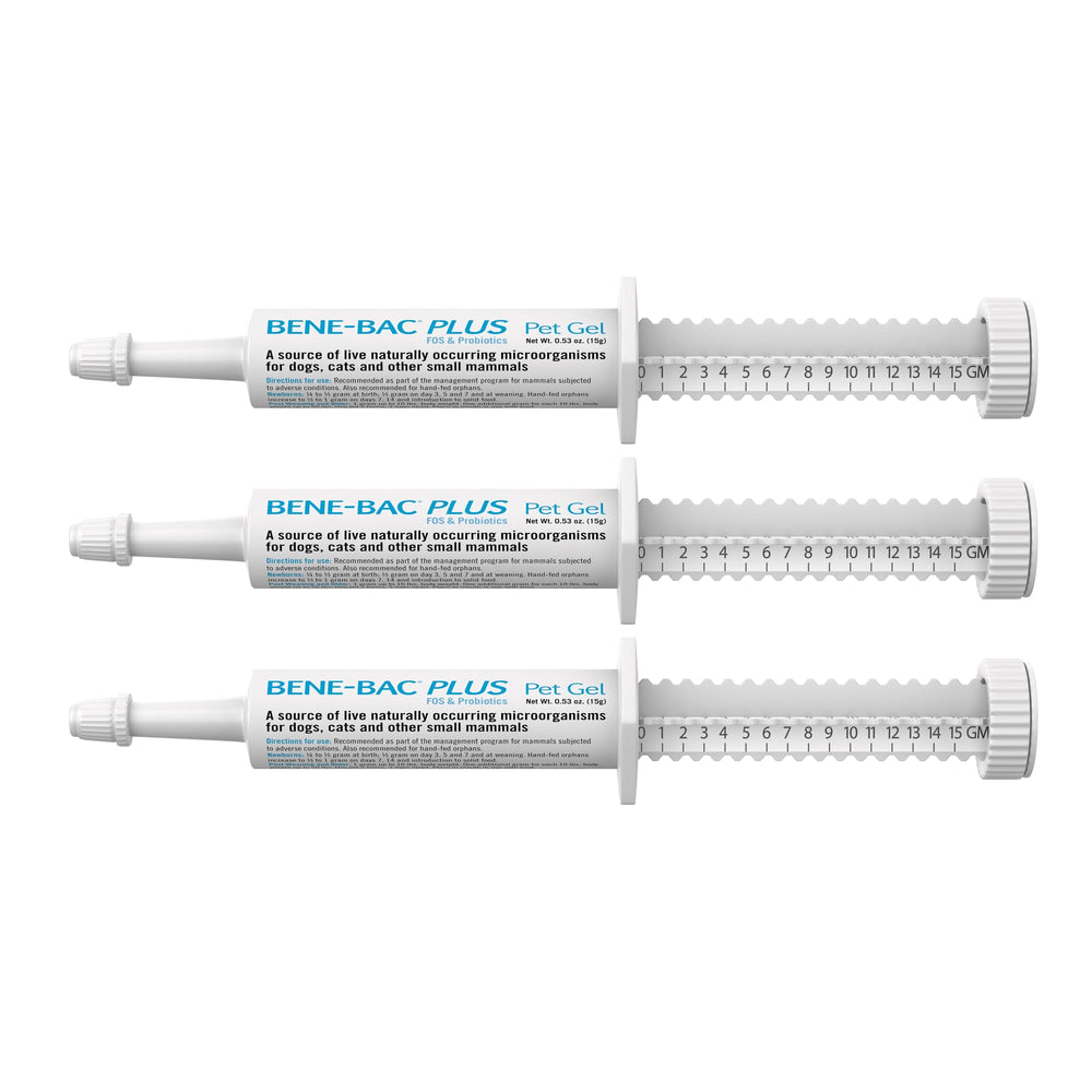 PetAg Bene-Bac Plus Pet Gel syringe for easy administration and digestive balance.