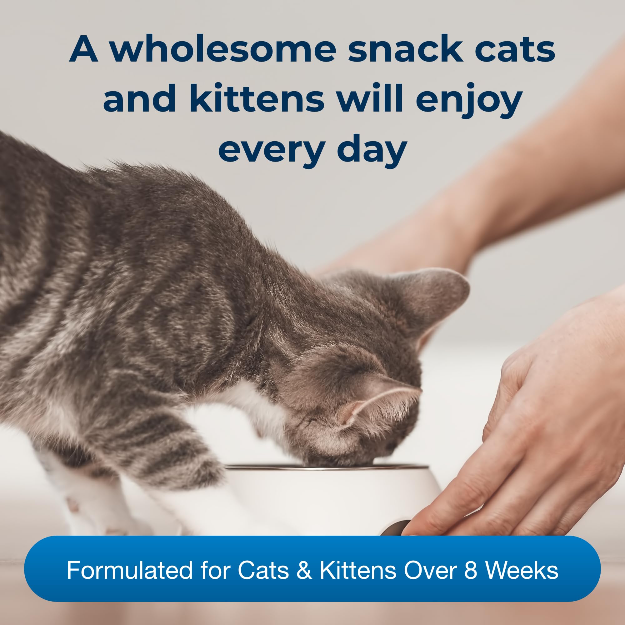 PetAg Cat-Sip Real Milk Treat close-up texture, creamy and smooth