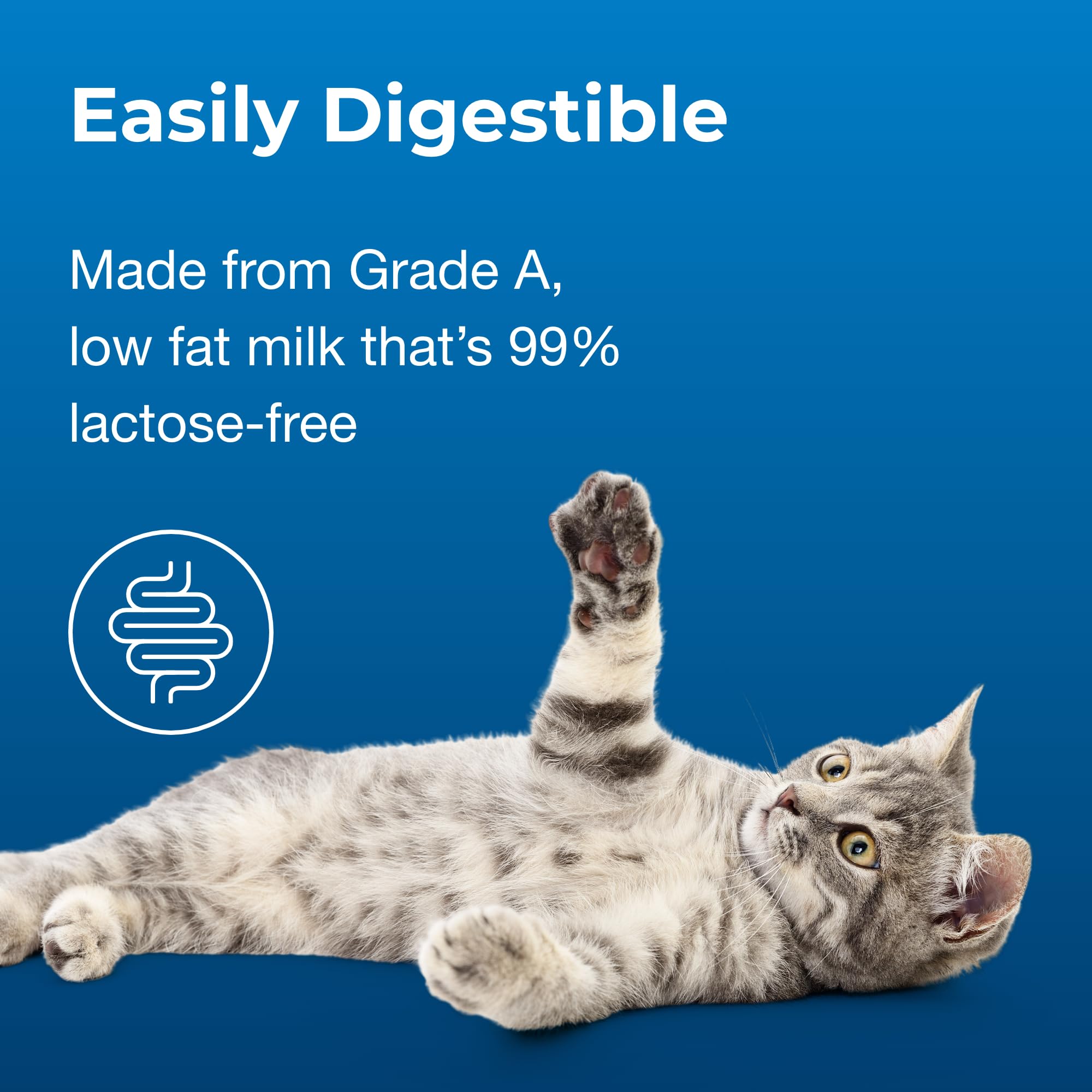PetAg Cat-Sip Real Milk Treat serving suggestion, daily treat for cats and kittens
