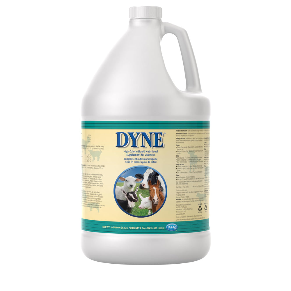 PetAg Dyne high-calorie liquid bottle for energy support in livestock.