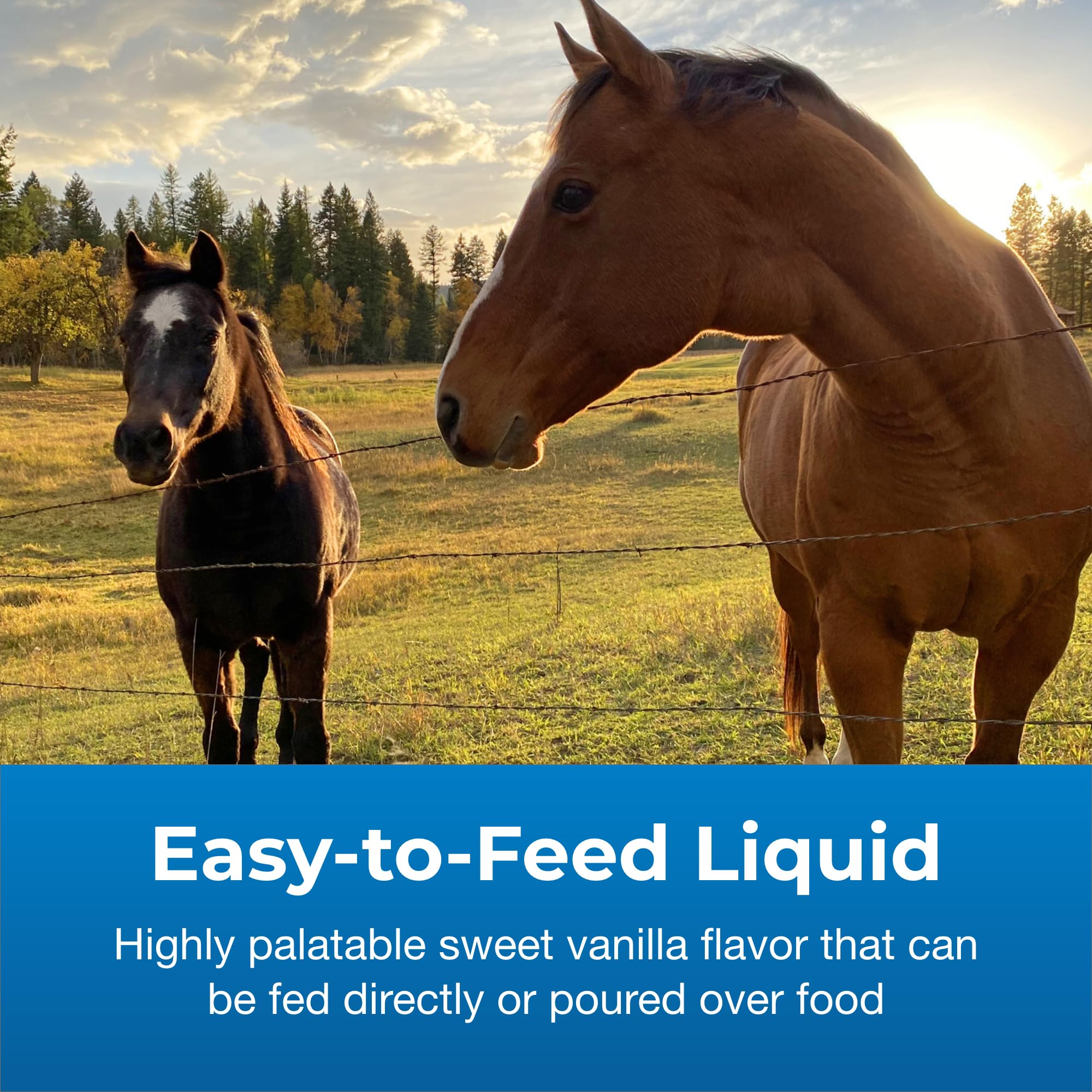 PetAg Dyne drops over feed demonstrates easy top-dress feeding option.