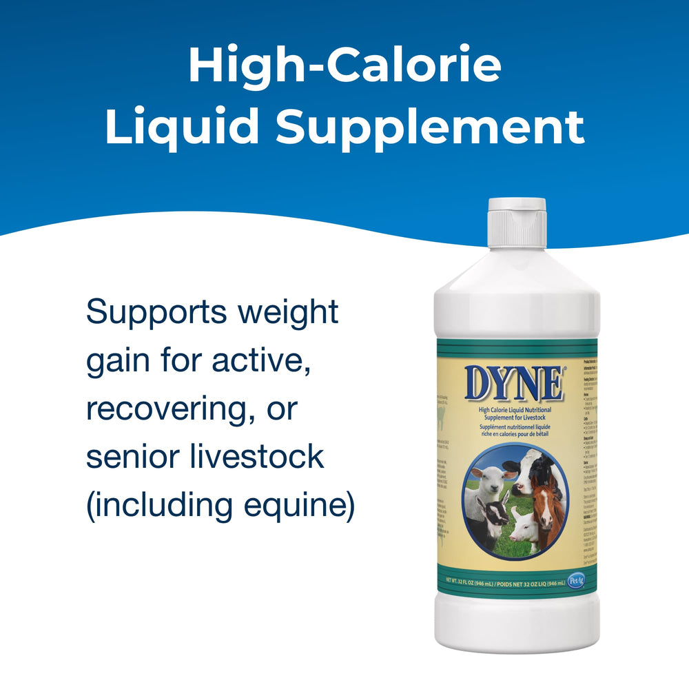 PetAg Dyne label closeup highlights added vitamins for overall well-being.