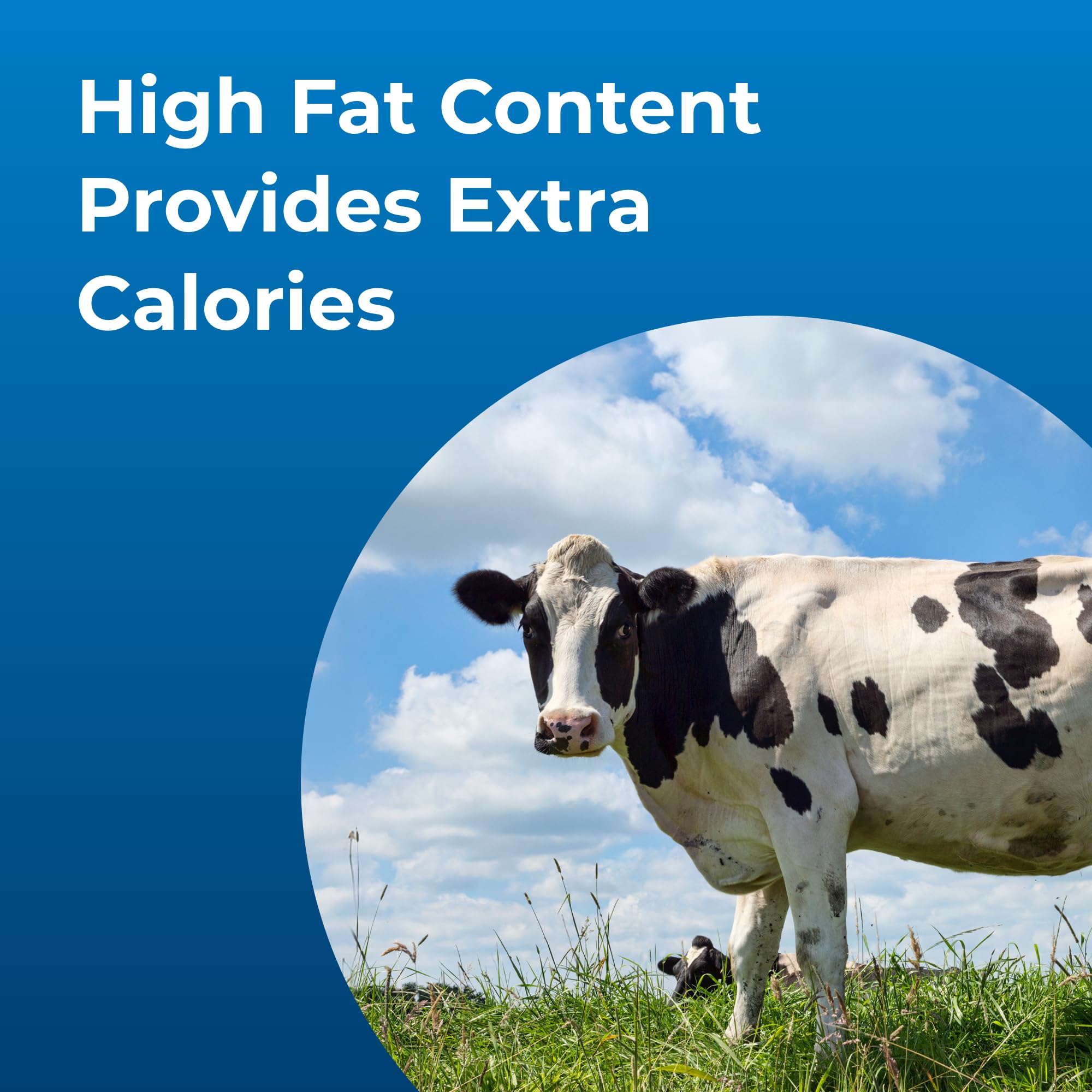 PetAg Dyne for show-ready livestock offers low-volume energy enhancement.