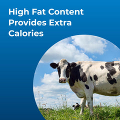 PetAg Dyne for show-ready livestock offers low-volume energy enhancement.