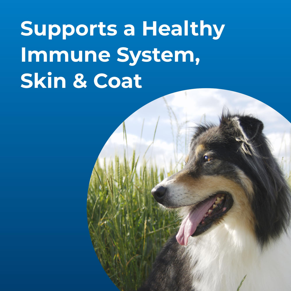 PetAg Dyne nutrition label close-up shows key ingredients.