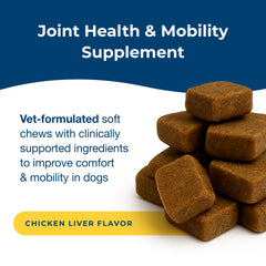 PetAg Dyne Soft Chews closeup of chews emphasizing UC-II collagen benefits.
