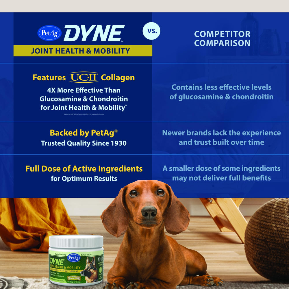PetAg Dyne Soft Chews packaging illustration highlighting mobility support.