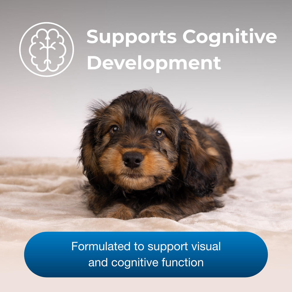 PetAg Esbilac 2nd Step ready-to-lap formula for bowl feeding