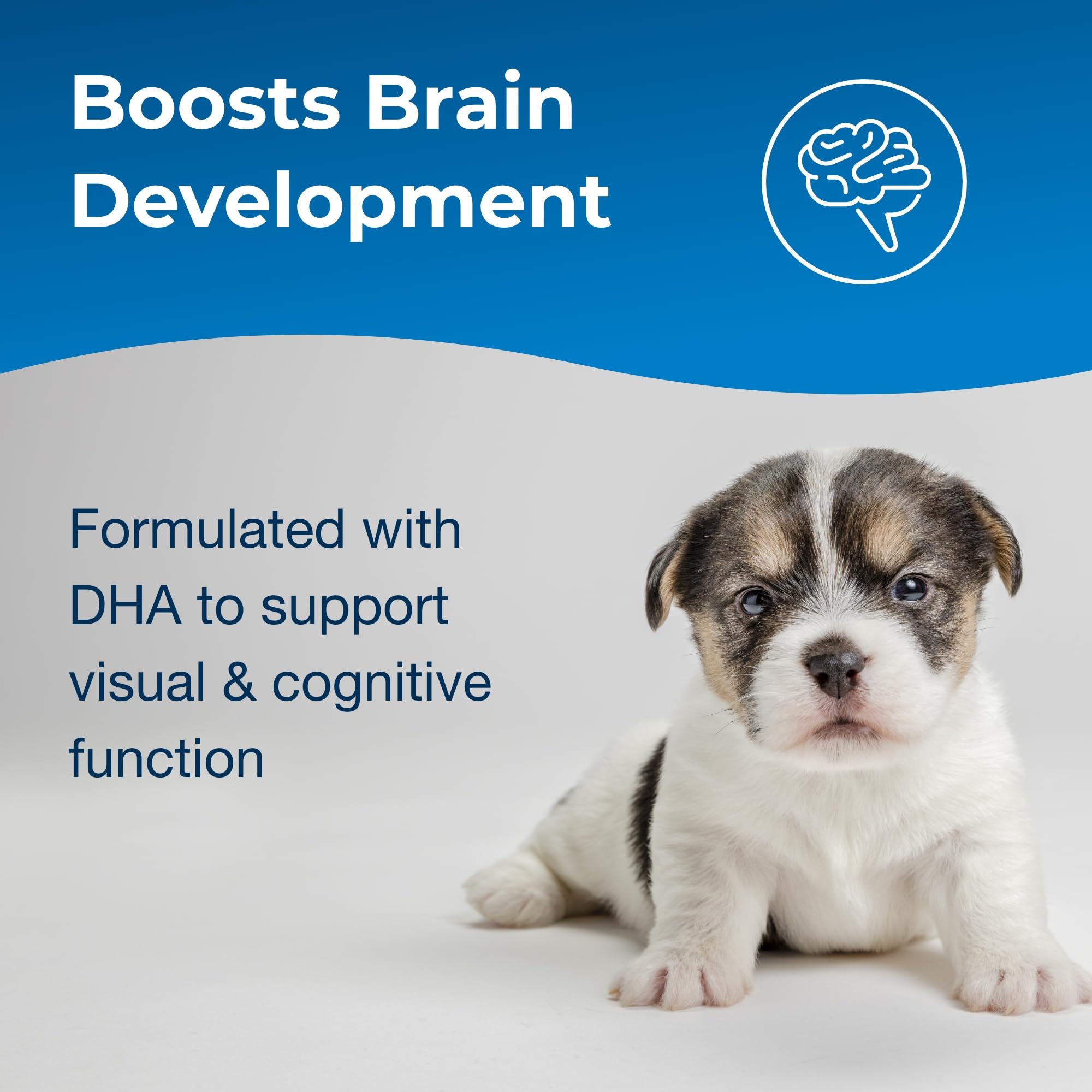PetAg Esbilac 2nd Step helps puppies transition to solid foods