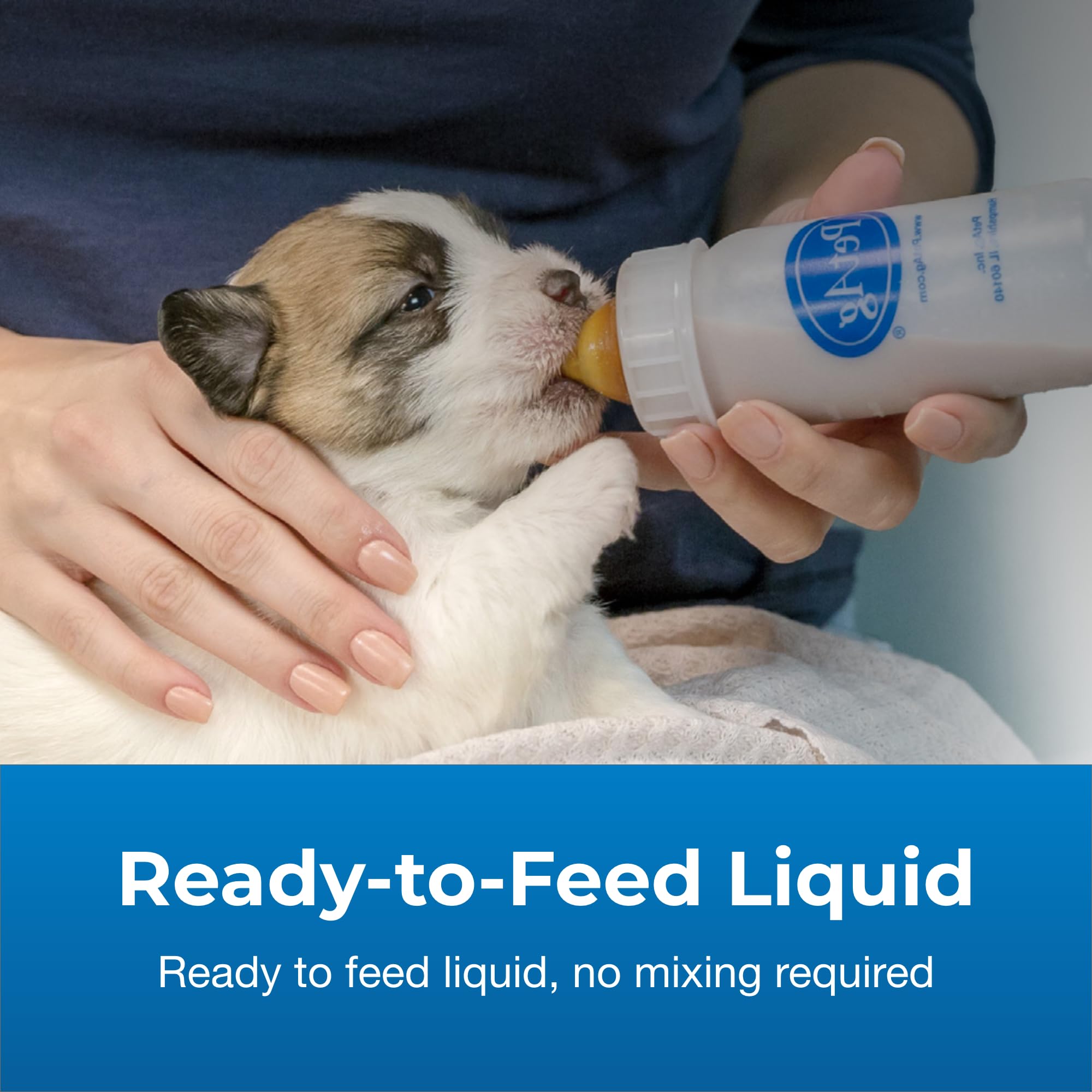 Mixing PetAg Esbilac Goat’s Milk Liquid with warm water for simple preparation.
