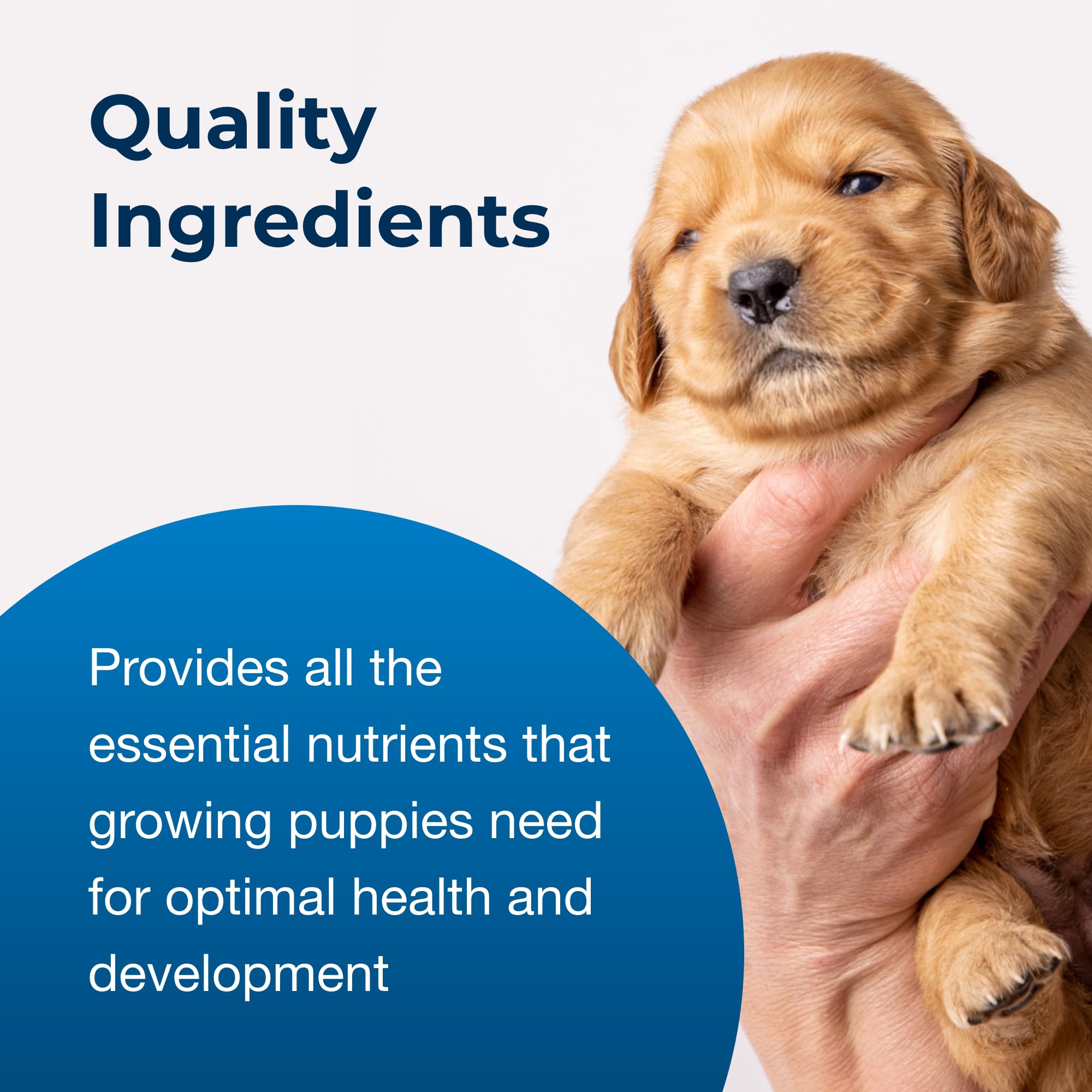 PetAg Esbilac Goat’s Milk Liquid packaging reinforces trusted brand for sensitive digestion.