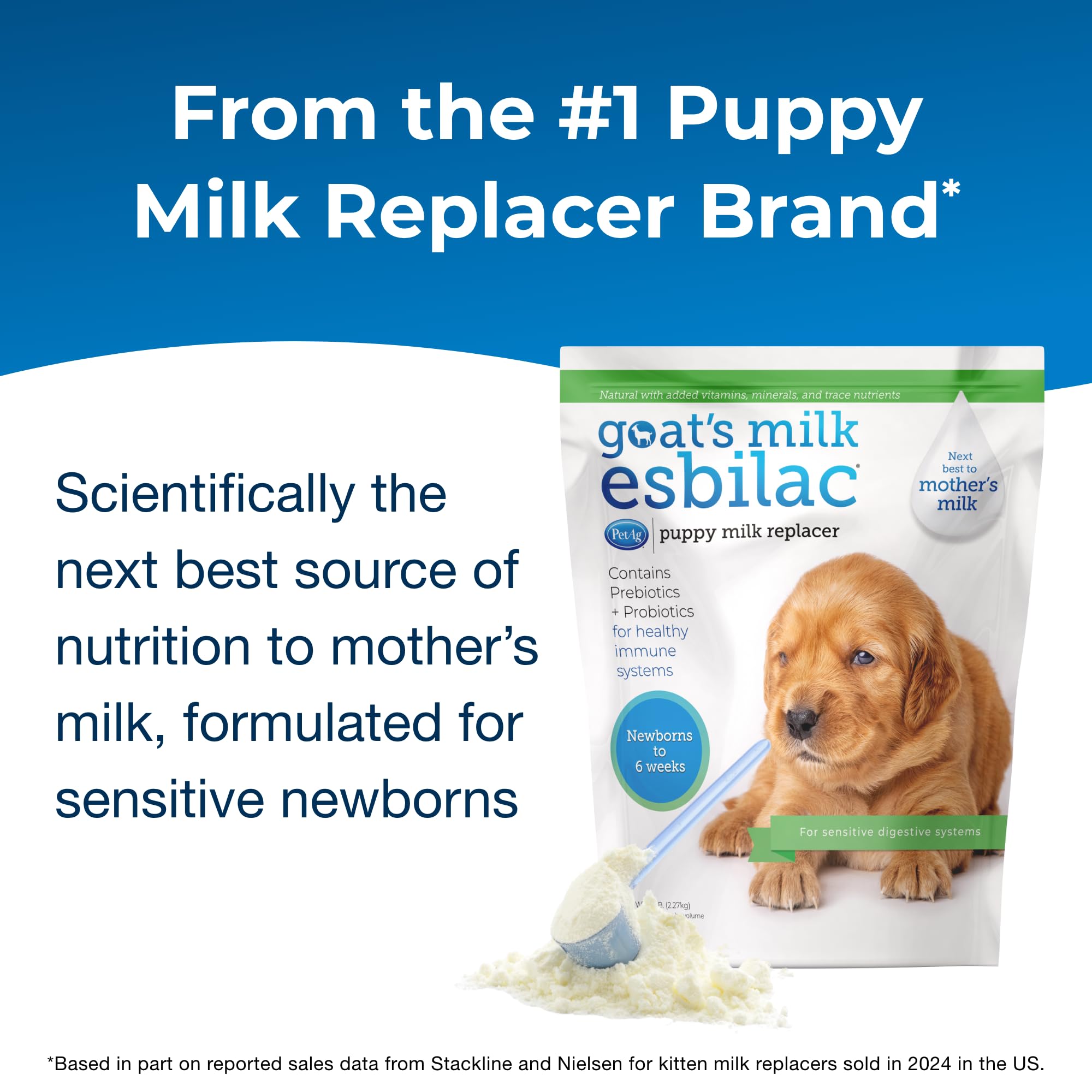 PetAg Esbilac mixing with warm water shows easy preparation for newborn puppies.