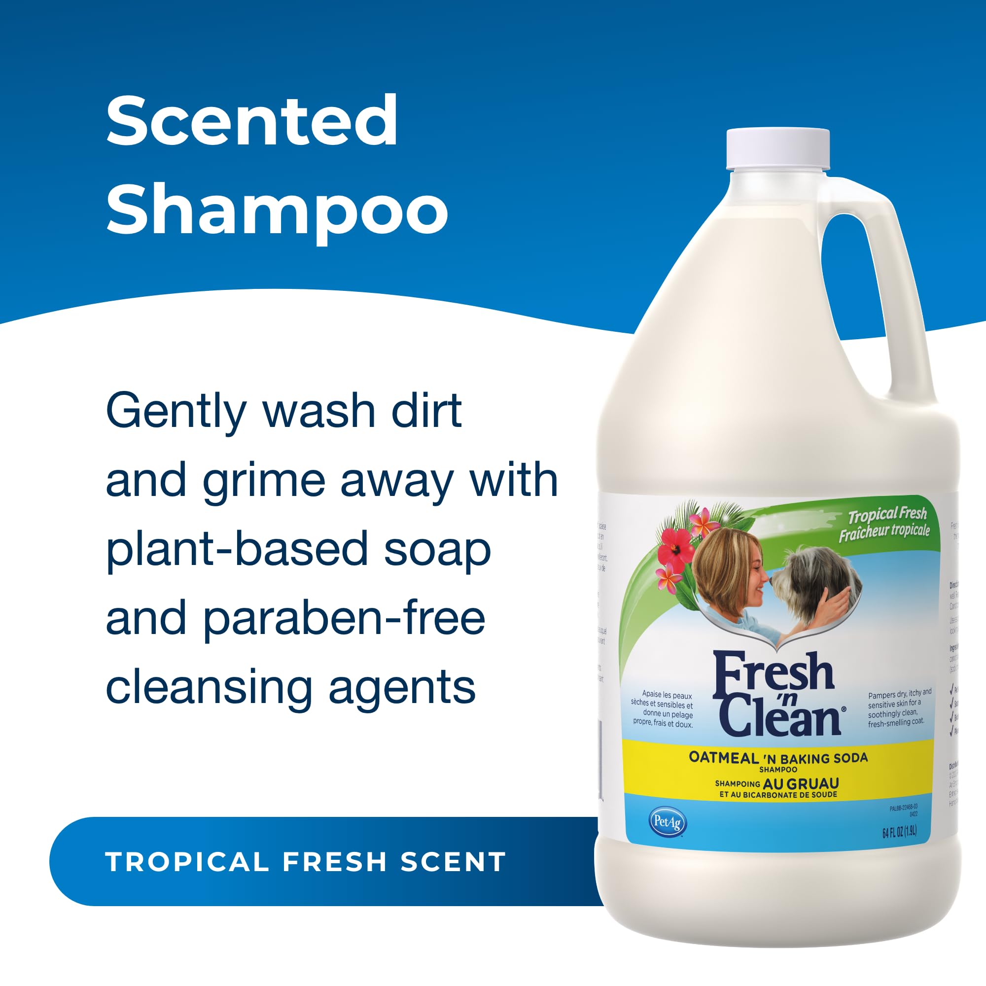 Close-up of lathering shampoo on a dog for a comfortable wash.