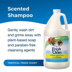 Close-up of lathering shampoo on a dog for a comfortable wash.